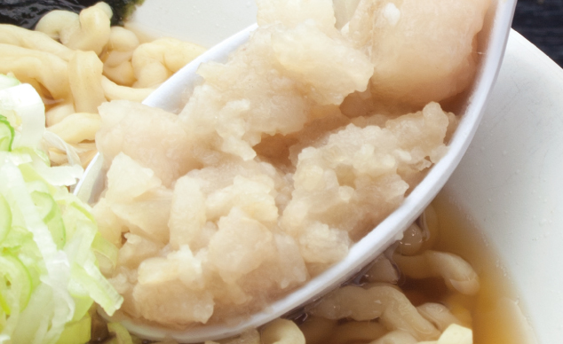 レンゲ背脂